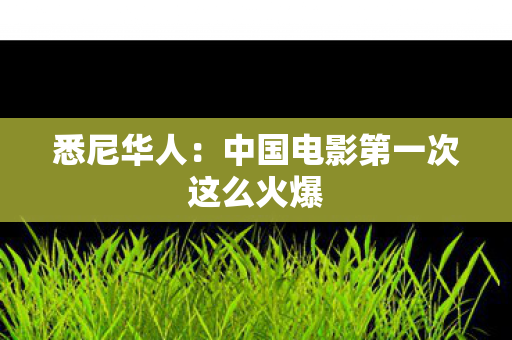 悉尼华人：中国电影第一次这么火爆