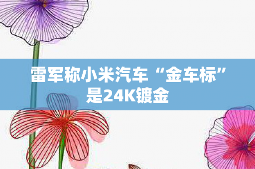 雷军称小米汽车“金车标”是24K镀金