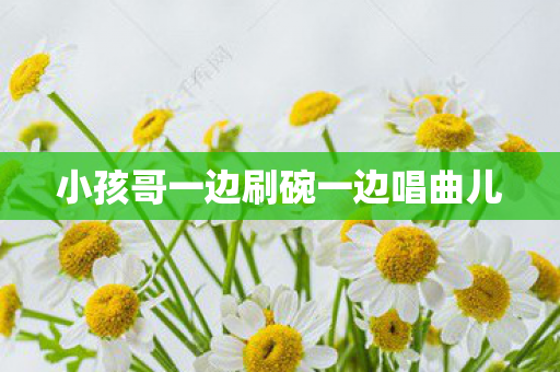 小孩哥一边刷碗一边唱曲儿