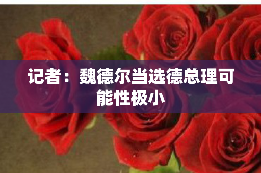 记者：魏德尔当选德总理可能性极小