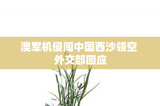 澳军机侵闯中国西沙领空 外交部回应