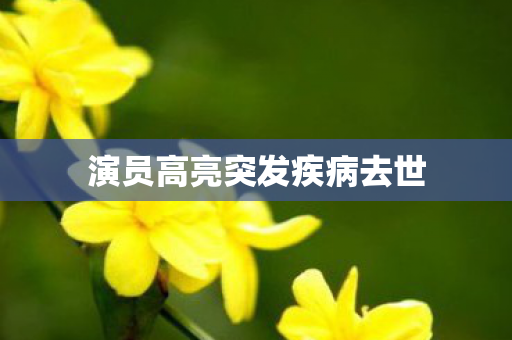 演员高亮突发疾病去世