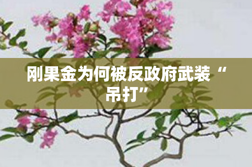 刚果金为何被反政府武装“吊打”