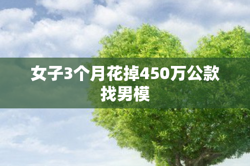 女子3个月花掉450万公款找男模