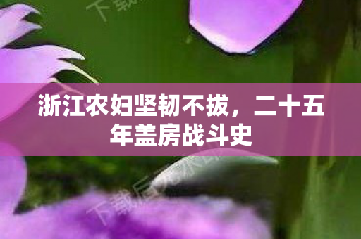浙江农妇坚韧不拔，二十五年盖房战斗史
