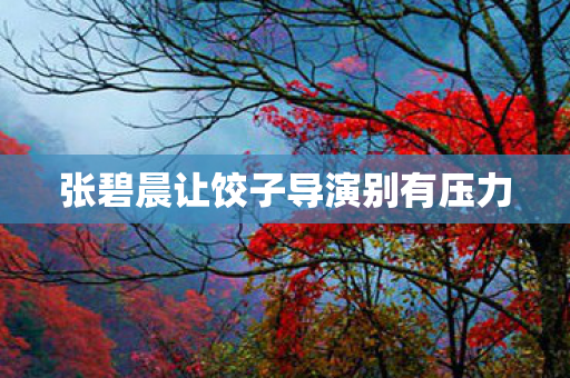 张碧晨让饺子导演别有压力