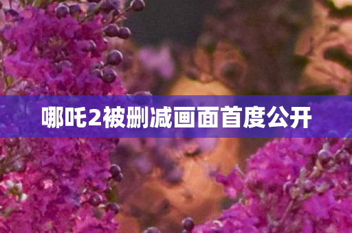 哪吒2被删减画面首度公开