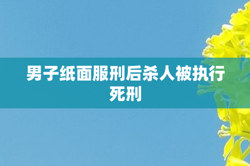 男子纸面服刑后杀人被执行死刑