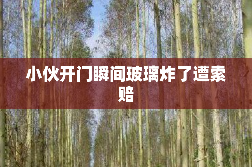 小伙开门瞬间玻璃炸了遭索赔
