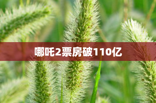 哪吒2票房破110亿