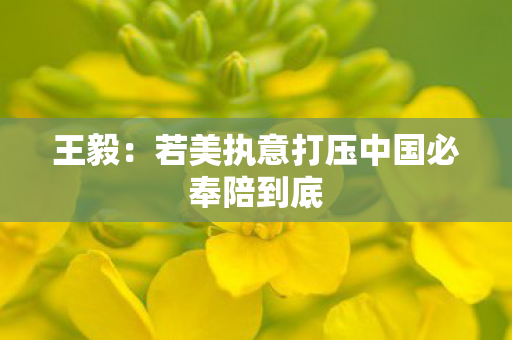 王毅：若美执意打压中国必奉陪到底