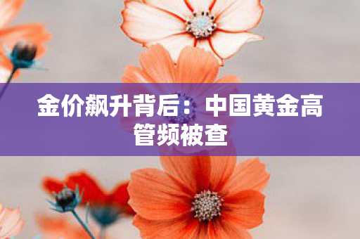 金价飙升背后：中国黄金高管频被查