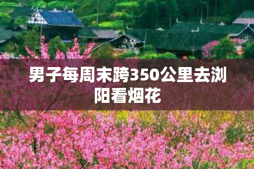 男子每周末跨350公里去浏阳看烟花