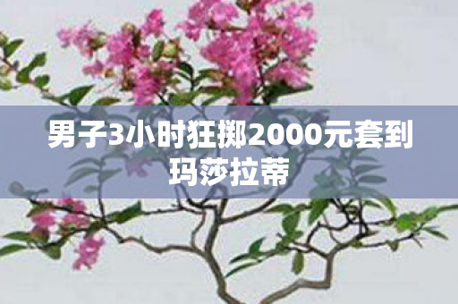 男子3小时狂掷2000元套到玛莎拉蒂