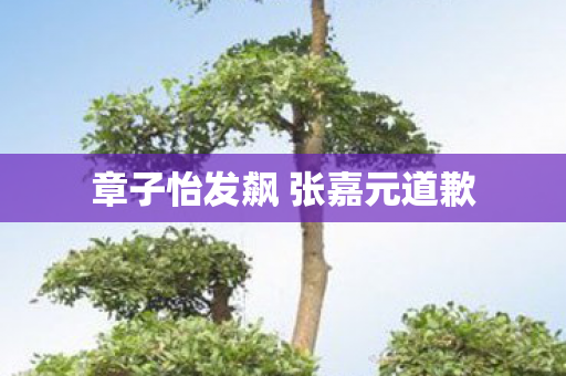 章子怡发飙 张嘉元道歉