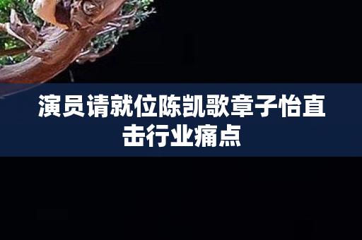 演员请就位陈凯歌章子怡直击行业痛点