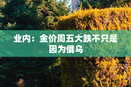 业内：金价周五大跌不只是因为俄乌
