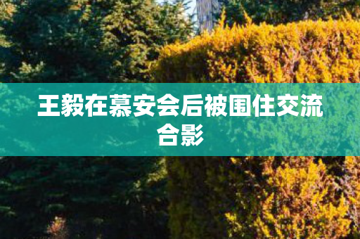 王毅在慕安会后被围住交流合影
