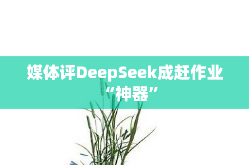 媒体评DeepSeek成赶作业“神器”