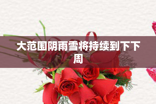 大范围阴雨雪将持续到下下周