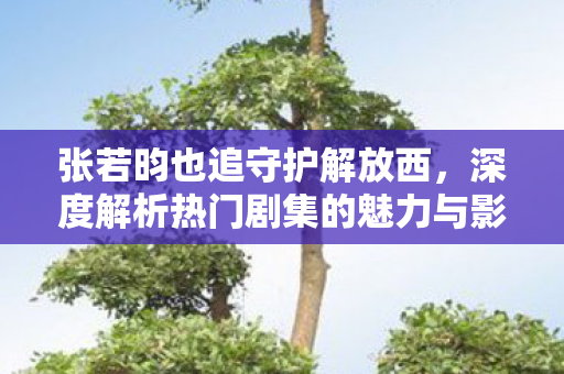 张若昀也追守护解放西，深度解析热门剧集的魅力与影响