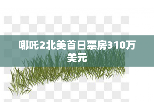 哪吒2北美首日票房310万美元