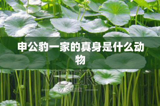 申公豹一家的真身是什么动物