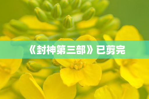 《封神第三部》已剪完