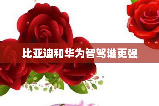 比亚迪和华为智驾谁更强
