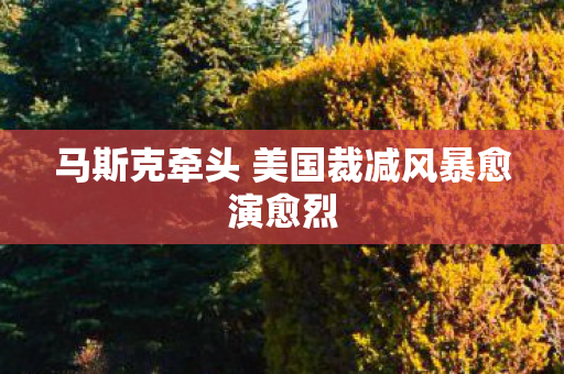 马斯克牵头 美国裁减风暴愈演愈烈