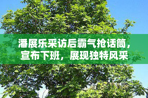 潘展乐采访后霸气抢话筒，宣布下班，展现独特风采