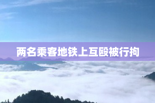 两名乘客地铁上互殴被行拘