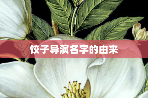 饺子导演名字的由来