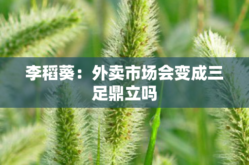 李稻葵：外卖市场会变成三足鼎立吗