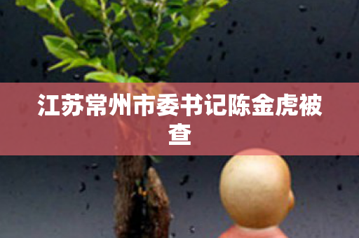 江苏常州市委书记陈金虎被查