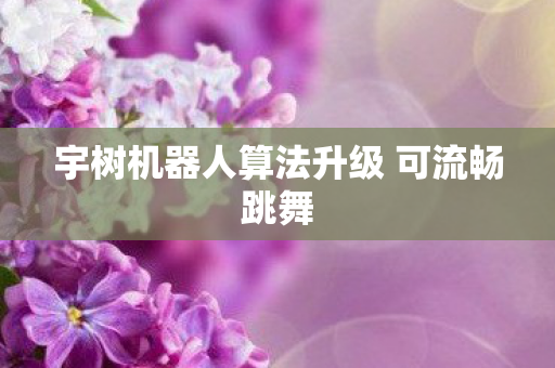 宇树机器人算法升级 可流畅跳舞