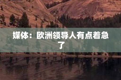 媒体：欧洲领导人有点着急了