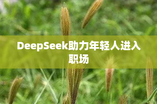 DeepSeek助力年轻人进入职场