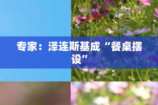 专家：泽连斯基成“餐桌摆设”