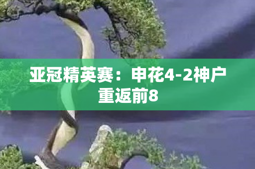 亚冠精英赛：申花4-2神户重返前8