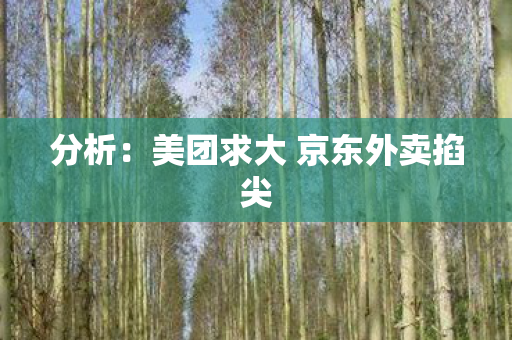 分析：美团求大 京东外卖掐尖
