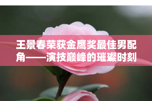 王景春荣获金鹰奖最佳男配角——演技巅峰的璀璨时刻