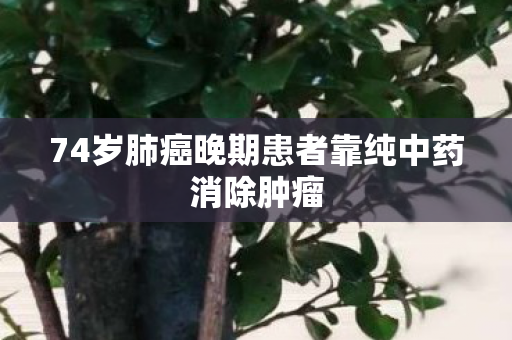 74岁肺癌晚期患者靠纯中药消除肿瘤