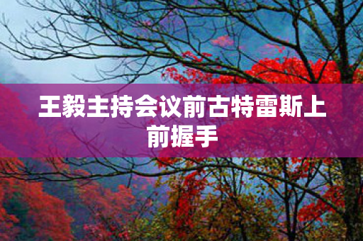 王毅主持会议前古特雷斯上前握手