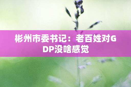 彬州市委书记：老百姓对GDP没啥感觉