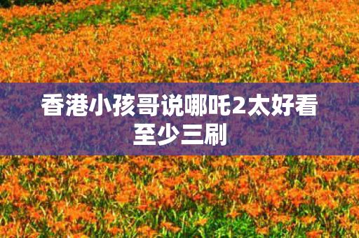 香港小孩哥说哪吒2太好看至少三刷