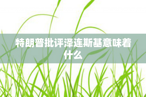 特朗普批评泽连斯基意味着什么