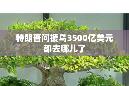 特朗普问援乌3500亿美元都去哪儿了