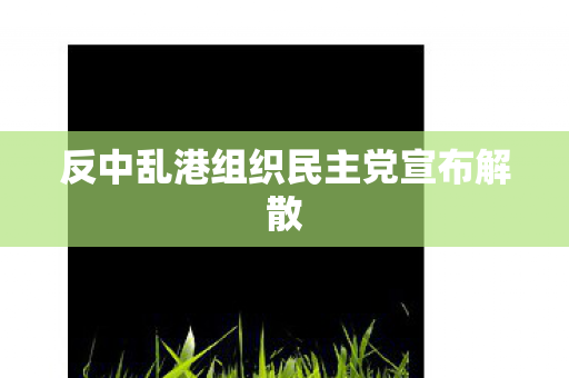 反中乱港组织民主党宣布解散