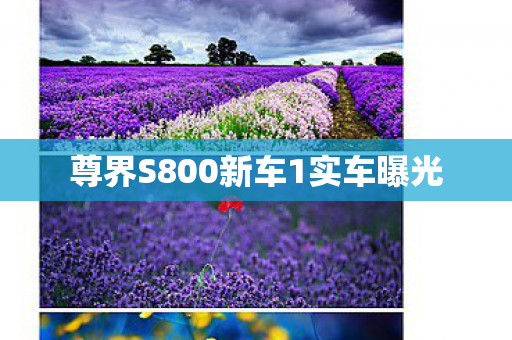 尊界S800新车1实车曝光